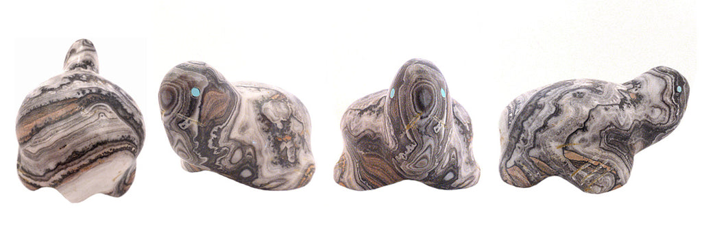 Zebra Calcite Sea Turtle by Leland Boone and Daphne Quam - Zuni Fetish Sunshine Studio