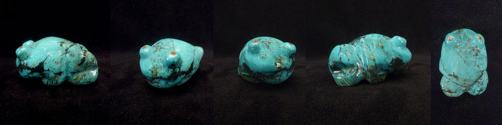 Turquoise Frog by Debra Gasper and Ray Tsethlikai - Zuni Fetish - Zuni Fetish Sunshine Studio