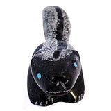 Picasso Marble Skunk by Garrick Acque