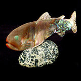 Abalone Fish, Trout by Lloyd Tsalabutie