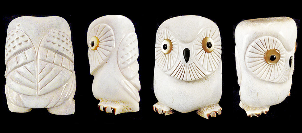 Antler Bird, Snow Owl by Raymond Tsalate - Zuni Fetish Sunshine Studio