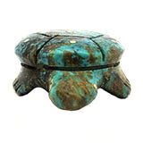 Turquoise Turtle by Debra Gasper and Ray Tsethlikai