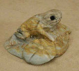 Picasso Marble Frog by Michael Coble  - Zuni Fetish