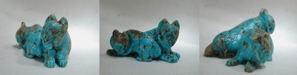 Turquoise Bobcat by Wilfred Cheama - Zuni Fetish - Zuni Fetish Sunshine Studio