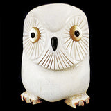 Antler Bird, Snow Owl by Raymond Tsalate