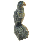 Picasso Marble Bird, Falcon by Darrin Boone