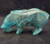 Turquoise Mountain Lion by Stewart Quandelacy - Zuni Fetish
