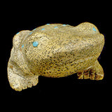 Cortez Gold Frog by Travis Nieto