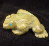 Serpentine Frog by Brian Yatsattie  - Zuni Fetish