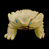 Picture Jasper Horned Toad by Tony Mackel